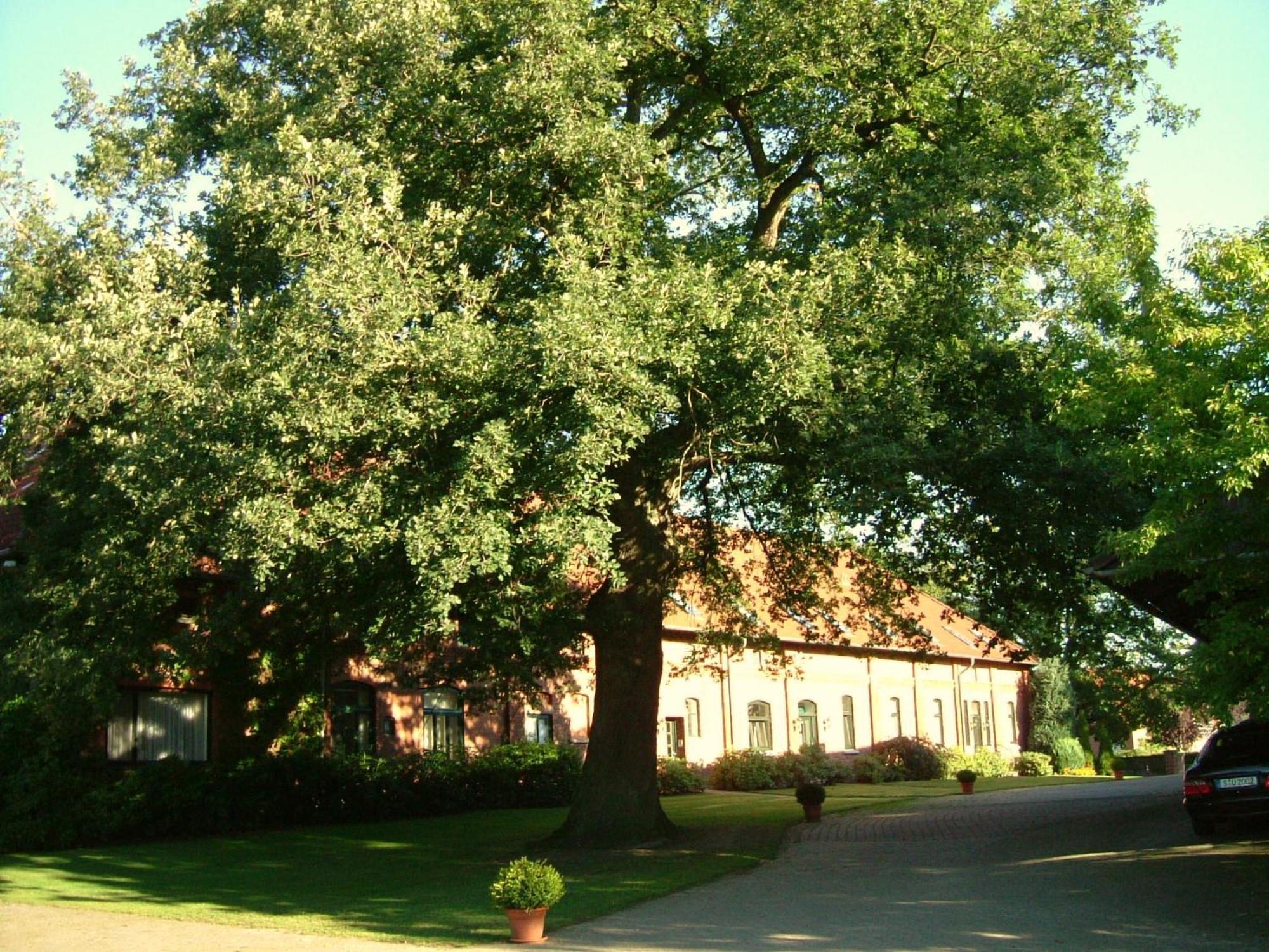Gaestehaus Schlossgarten Etelsen Esterno foto